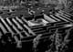 the-maze-1953