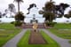 The Conservancy