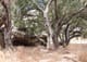 corriganville-caves-hideouts-1