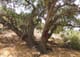 corriganville-caves-hideouts-4