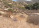 corriganville-corsican-village-1