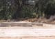 corriganville-silvertown-ruins-4